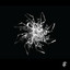 Aaron Suiss — Voices In My Head (Radio Edit) cover art