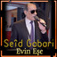 Wer Hınne Delale cover