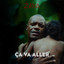 ZAYA - CA VA ALLER
