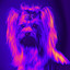 Cultivated Background for Wonderful Doggies cover