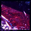 PINKY cover