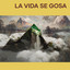 LA VIDA SE GOSA cover