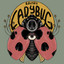 Lady Bug