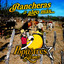 reproches al viento cover