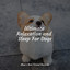 Ultimate Relaxation and Sleep For Dogs cover