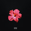 FIJI cover