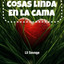 COSAS LINDA EN LA CAMA cover