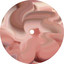 Cerebellum