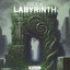 Labyrinth artwork