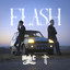 Flash artwork