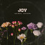 Joy (Anyway, Anyhow) - Jamie Grace