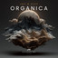 Organica - Extended Mix