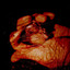 Unknown Title cover
