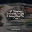 50 Calming Melodies for Spa & Relaxation For Cats cover