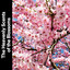 The Heavenly Scents of the Blossoms cover