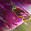 Succo Di Zenzero Vol. 2 cover