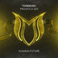 Provoca 303 - Extended Mix