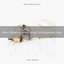 Stress Relieving Wind Songs For Household Dogs cover