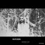 AVI cover
