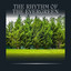 The Rhythm of the Evergreen cover
