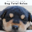2022 Dog Total Relax cover