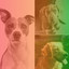 Ambiance for Resless Doggy cover