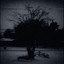 BITKOV! cover