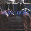 Unknown Title cover