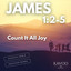 Fr. James Curatolo - Third Sunday after Pentecost {734}