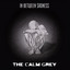 The Calm Grey - These Grey Alleys