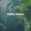 Calm Vision cover