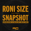 Snapshot - Drumsound & Bassline Smith Remix