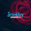 # 1 A 2019 Album: Sprinkling Ambience cover