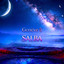 Genève 5 - Salba