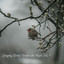Singing Birds Under the Rain Vol. 1 cover
