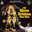 Jai Shree Krishna Hare Hare cover