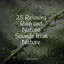 25 Relaxing Rain and Nature Sounds from Nature cover