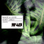 Secret Jungle