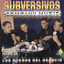 El Baile del Raas cover