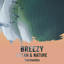 zZz Breezy Ocean & Nature Harmonies zZz cover