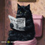 Unknown Title cover