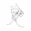 Piezo — Cutest Kitty Content cover art
