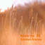 Golden Traces cover