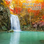 Tranquil Japanese Music: (Studying, Relaxation, Anxiety Cure, Sleeping, Meditation) cover