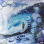 Soul Surfer cover