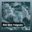 Roi des Vagues cover
