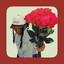 Ariel J - Forever?