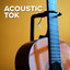 AcousTic Tok cover