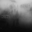D.S. Wilson - Nuance - Arrival