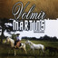 Campeando Casório cover